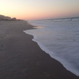 Meet your Posher, Carley